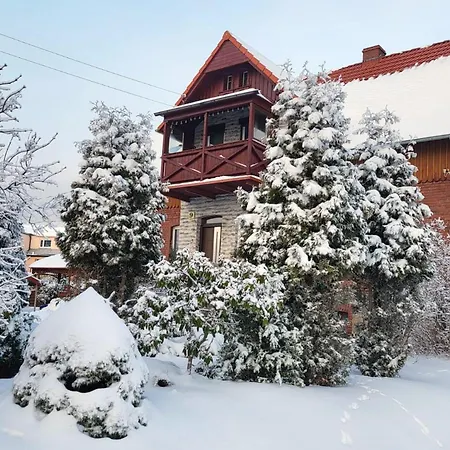 Zola شكلارسكا بوريبا